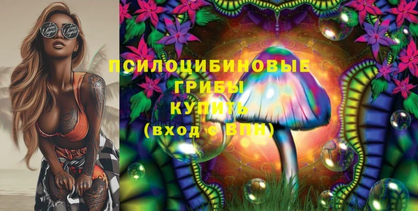 мет Алексин