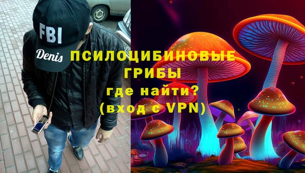 гидра Алексеевка