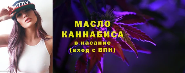 мет Алексин