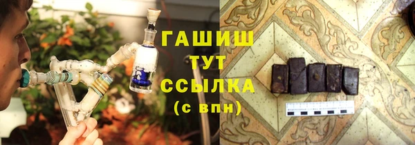 мет Алексин