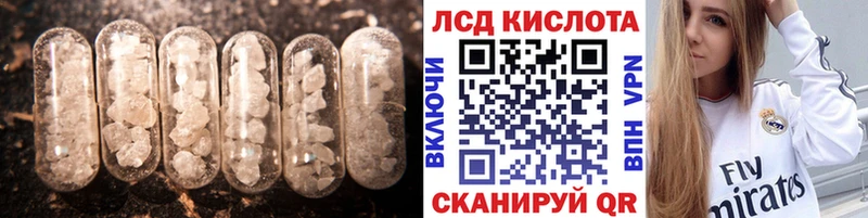 дарнет шоп  Закаменск  Лсд 25 экстази кислота 